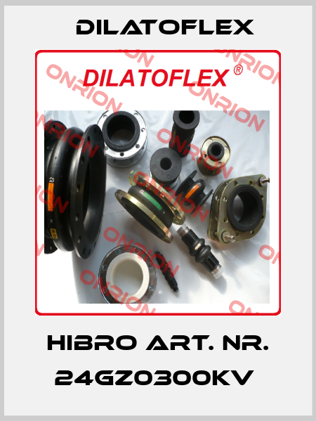 Hibro Art. Nr. 24GZ0300KV  DILATOFLEX