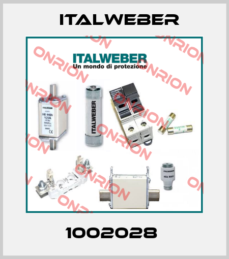 1002028  Italweber