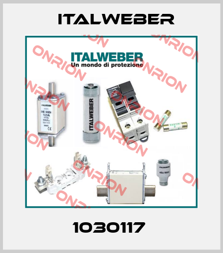 1030117  Italweber