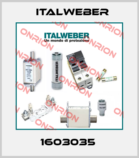 1603035  Italweber