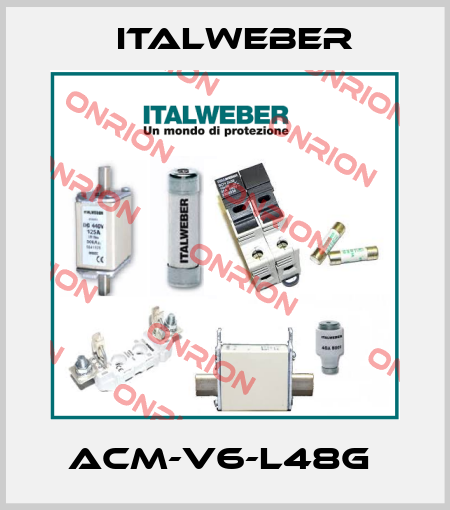 ACM-V6-L48G  Italweber
