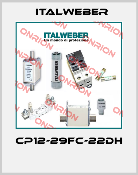 CP12-29FC-22DH  Italweber