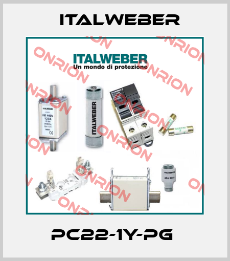 PC22-1Y-PG  Italweber