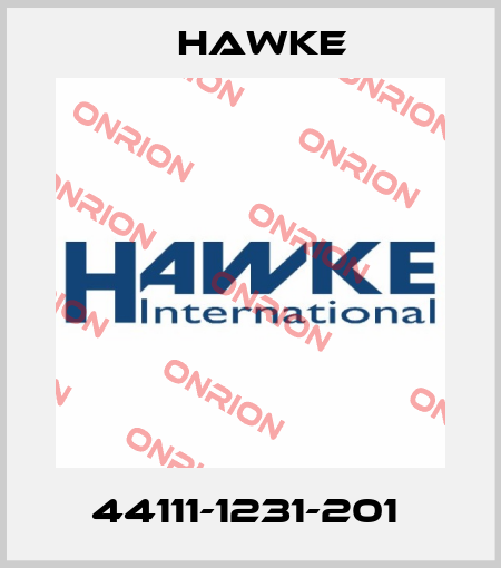 44111-1231-201  Hawke