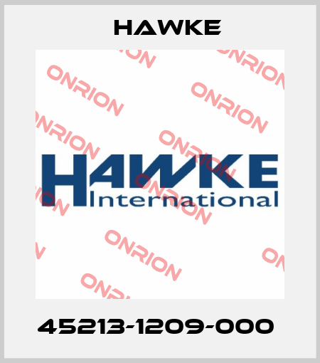45213-1209-000  Hawke