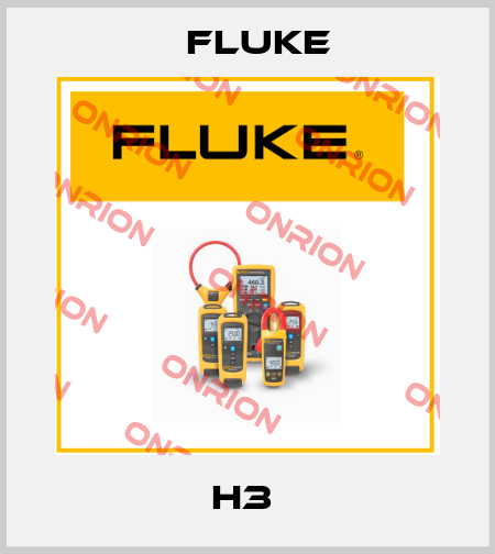 H3  Fluke