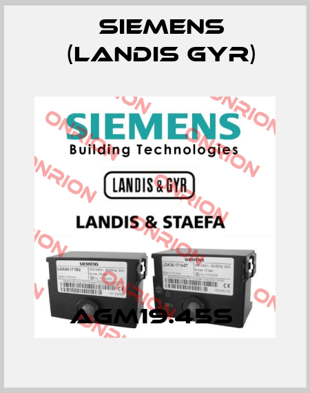 AGM19.45S  Siemens (Landis Gyr)