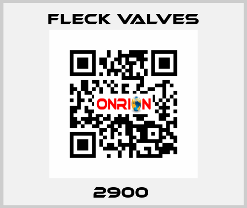 2900  Fleck Valves