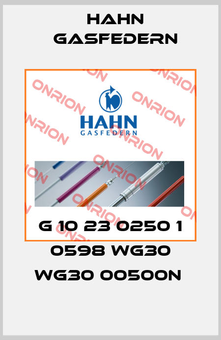 G 10 23 0250 1 0598 WG30 WG30 00500N  Hahn Gasfedern