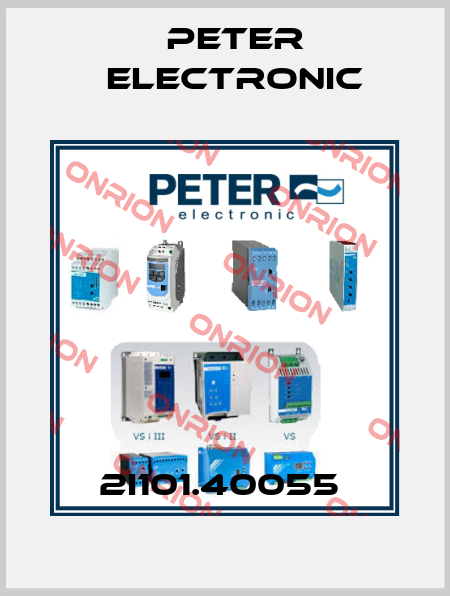 2I101.40055  Peter Electronic