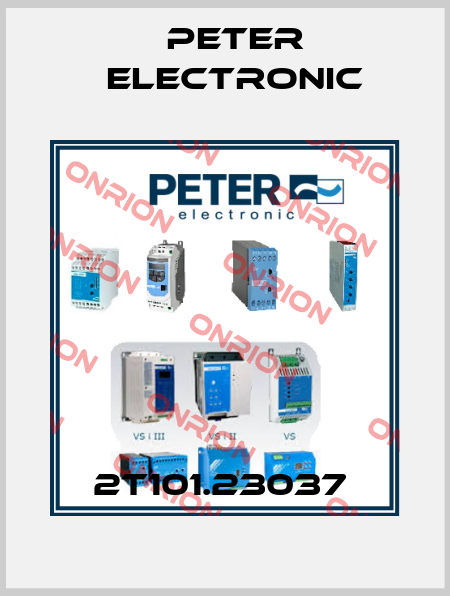 2T101.23037  Peter Electronic