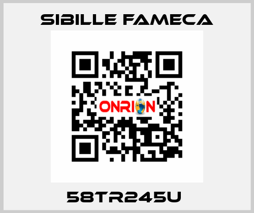 58TR245U  Sibille Fameca