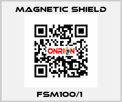 FSM100/1  Magnetic Shield