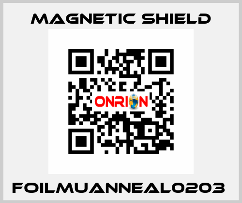 FOILMUANNEAL0203  Magnetic Shield