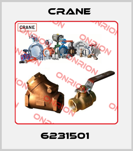 6231501  Crane