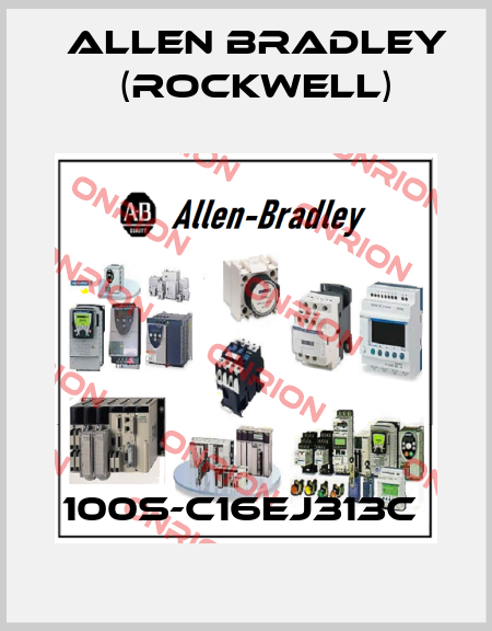 100S-C16EJ313C  Allen Bradley (Rockwell)