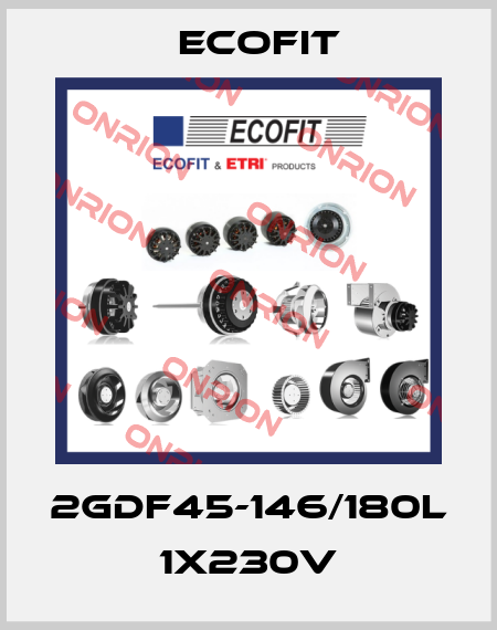 2GDF45-146/180L 1x230V Ecofit