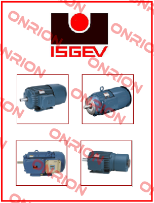 AFTS 100 LA4- cast iron  Isgev