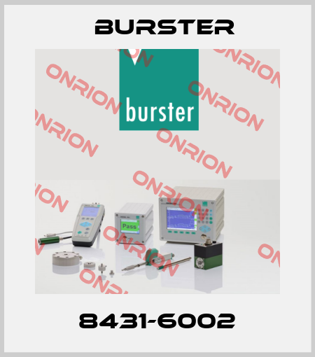 8431-6002 Burster