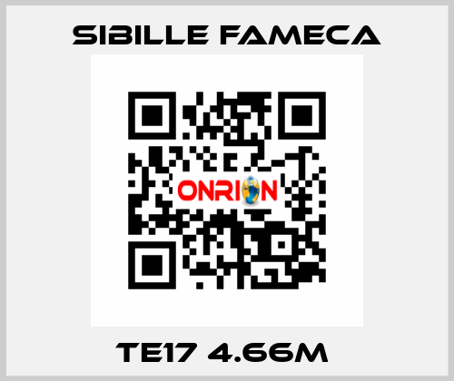 TE17 4.66M  Sibille Fameca