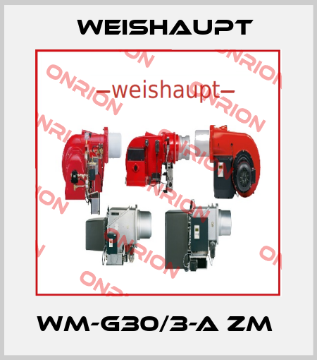 WM-G30/3-A ZM  Weishaupt