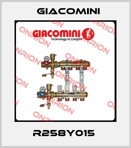 R258Y015  Giacomini