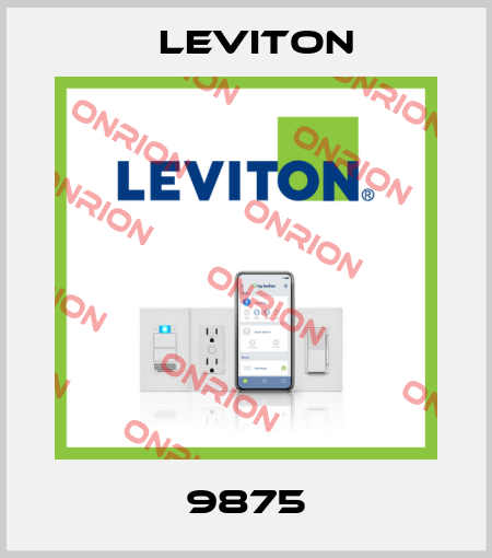 9875 Leviton