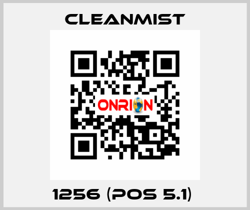 1256 (pos 5.1)  CleanMist