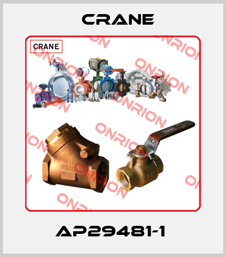 AP29481-1  Crane