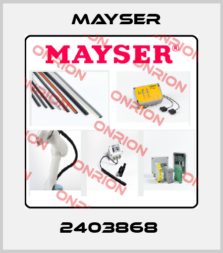 2403868  Mayser