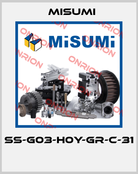 SS-G03-H0Y-GR-C-31  Misumi