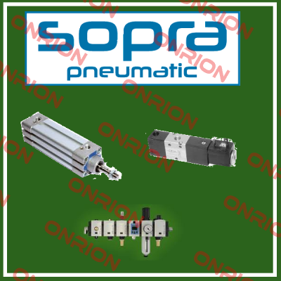 Pneumatic Cylinder for VI100.040.030(1105)  Sopra-Pneumatic