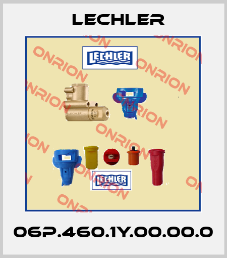 06P.460.1Y.00.00.0 Lechler