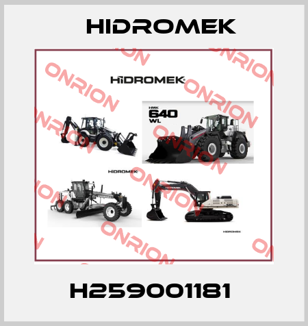 H259001181  Hidromek