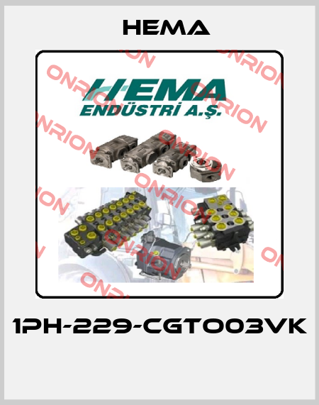 1PH-229-CGTO03VK  Hema