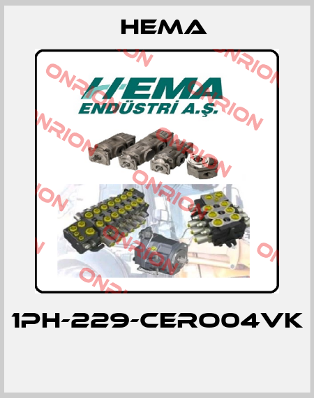 1PH-229-CERO04VK  Hema