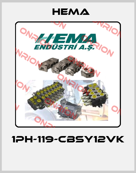 1PH-119-CBSY12VK  Hema