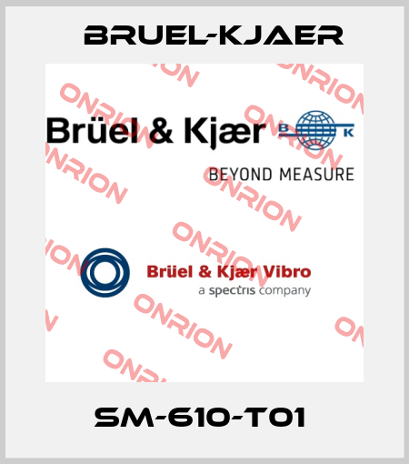 SM-610-T01  Bruel-Kjaer