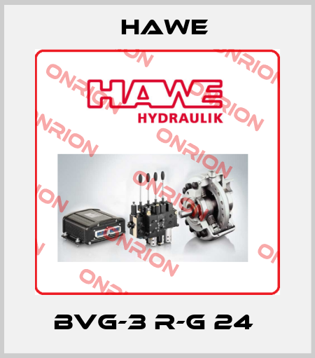 BVG-3 R-G 24  Hawe