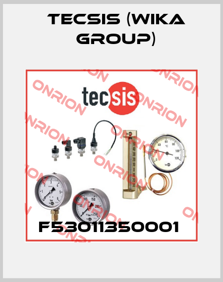 F53011350001  Tecsis (WIKA Group)
