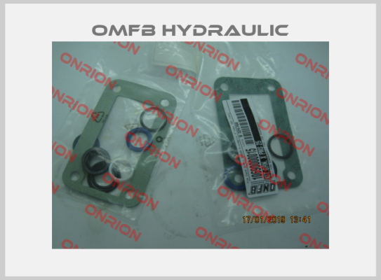 106-900-00015 OMFB Hydraulic