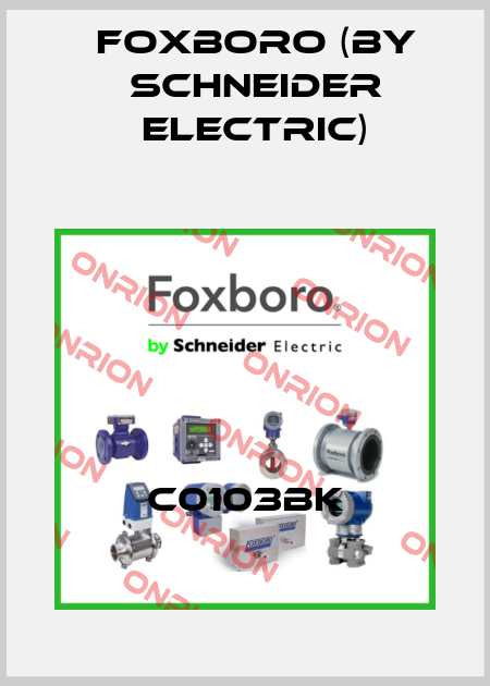 C0103BK Foxboro (by Schneider Electric)