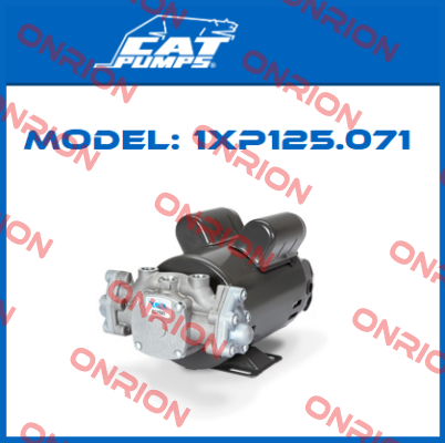 1XP125.071 Cat Pumps