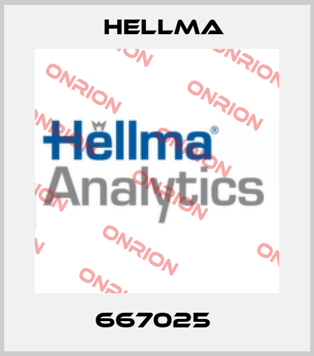 667025  Hellma