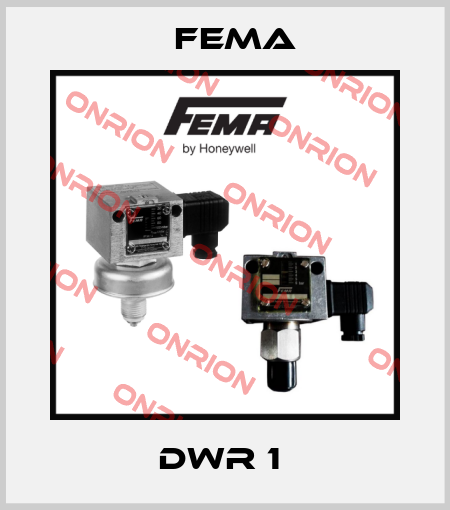 DWR 1  FEMA