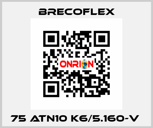 75 ATN10 K6/5.160-V  Brecoflex