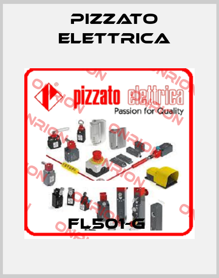 FL501-G  Pizzato Elettrica