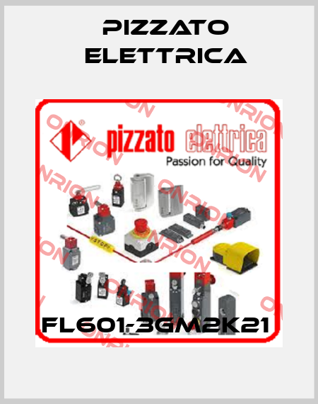FL601-3GM2K21  Pizzato Elettrica
