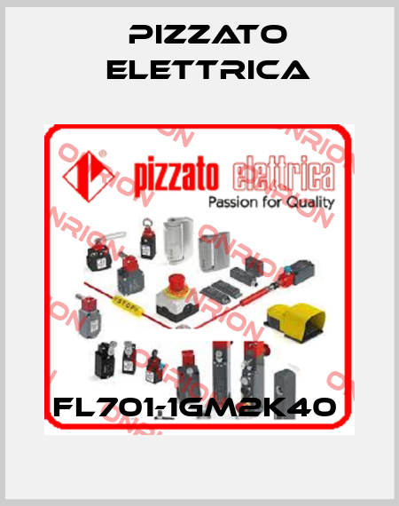 FL701-1GM2K40  Pizzato Elettrica