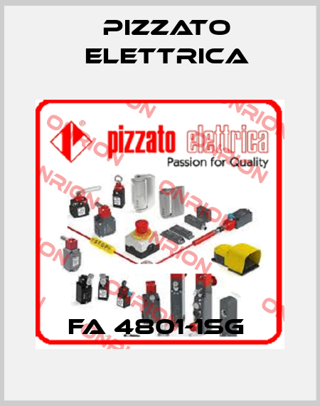 FA 4801-1SG  Pizzato Elettrica